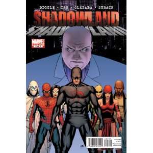   Shadowland #2   Cover A ANDY DIGGLE, BILLY TAN, JOHN CASSADAY Books