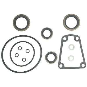   18 2691 Marine Lower Unit Seal Kit for Johnson/Evinrude Outboard Motor