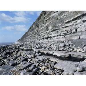 Fossil Bearing Lias Beds, Seven Rock Point, Jurassic Coast, Lyme Regis 