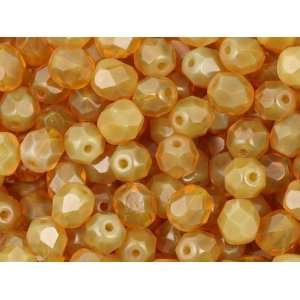  Fire Polished Bead 6mm Indian Yellow Opal (50pc Pack 