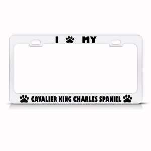 Cavalier King Charles Spaniel Dog Metal license plate frame Tag Holder