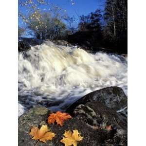  Maple Leaves and Wadleigh Falls on the Lamprey River, New Hampshire 