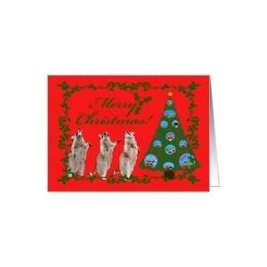  Christmas, Raccoons with holly wreath frame and tree Card 