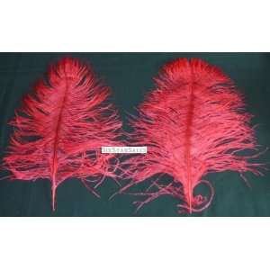 Ostrich~5 Mini Wing Ostrich Plumes RED Ostrich Feather 10 13 Long for 