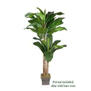 TWO Artificial Banana Tropical Trees 9.5 + 5.5, with No Pot:  