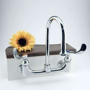   in. Spout Commercial Wall Mount Hospital Faucet