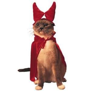  Cat From Hell Cat Costume   Cat