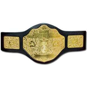   : WWE World Heavyweight Toy Championship Belt by Jakks: Toys & Games